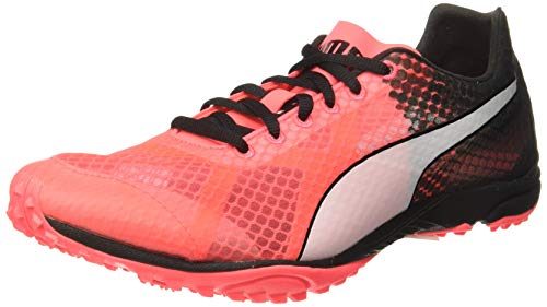 PUMA Evospeed Haraka 6 XC Women's Laufen Spitzen - AW19-42.5