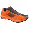 Salomon - X Alpine Pro - Trailrunningschuheorange